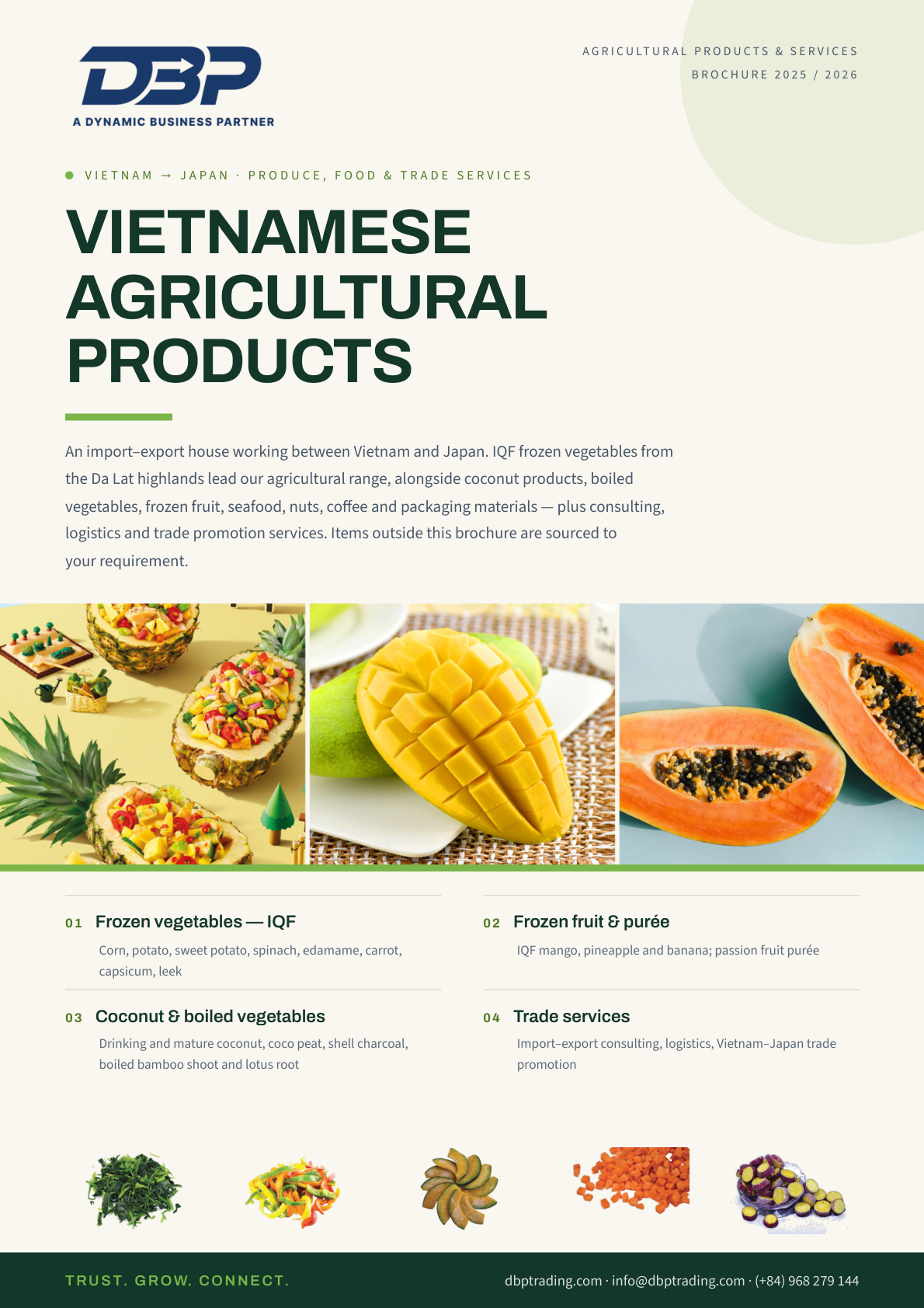 Bìa brochure Nông Sản & Dịch Vụ DBP Trading 2026