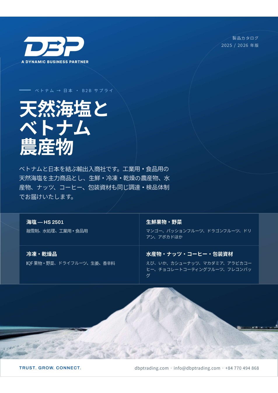 DBP Trading 2026年版ブローシャー表紙