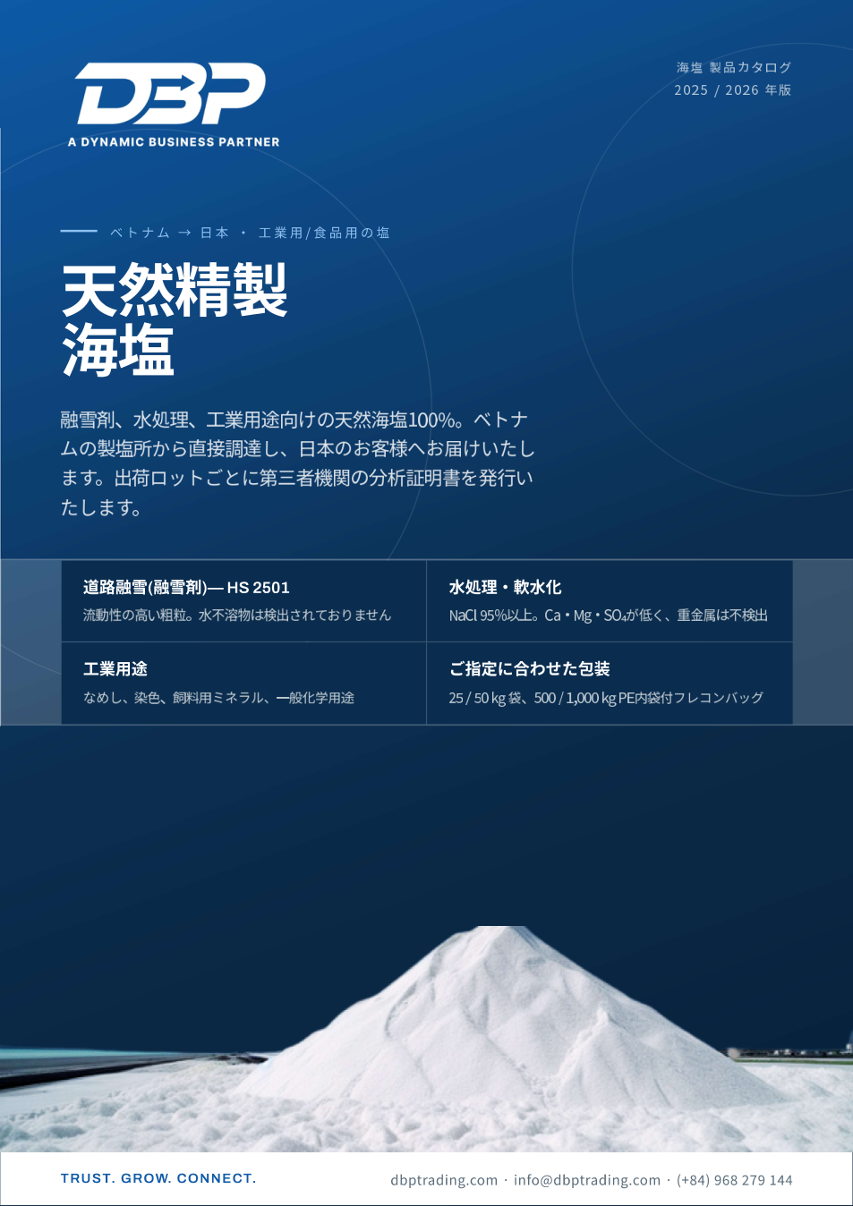 DBP Trading 塩ブローシャー表紙